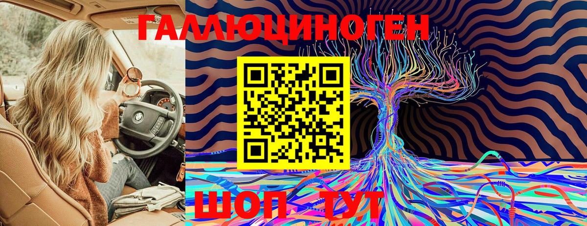 Ростов-на-Дону  Псилоцибиновые грибы Psilocybine cubensis  Вход с VPN 